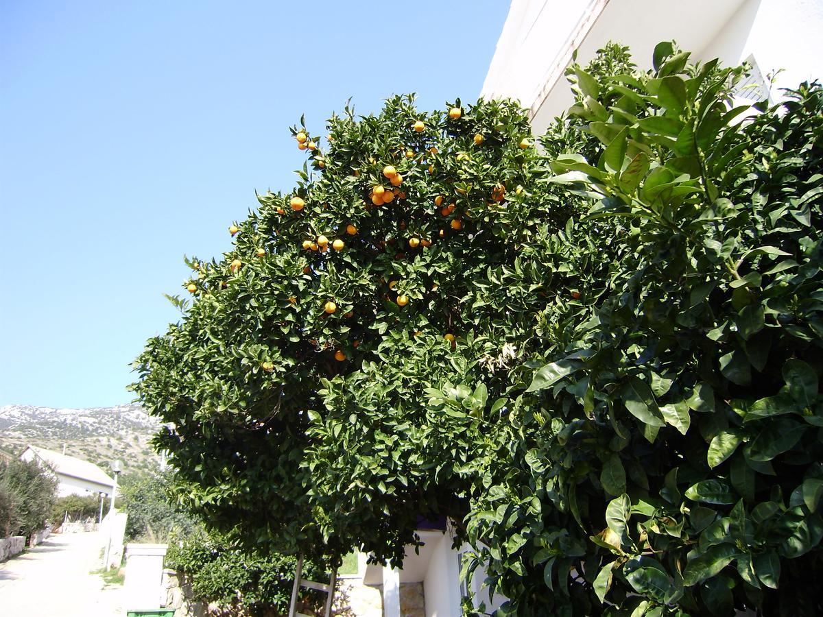 Pansion Braco Bed & Breakfast